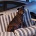 Bruce Matz - Facebook