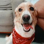 BRUCE MAXIMUS - @bruce.maximus_ - Instagram