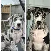 leightordoff - @brucesmaximus - TikTok