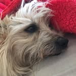 Bruce Mayfield - @filmtovideo - Instagram