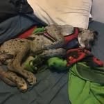 Bruce Maynard - @brucelt463 - Instagram