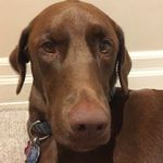 Bruce maynard - @bruciemmay - Instagram
