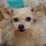 Bruce Maynard - @brucemaynard4 - Instagram