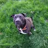 Bruce Maynard - @bruce.maynard1 - TikTok