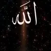 االياسمين - @bruce.mayo - TikTok