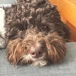 Bruce MacAskill - @bmac0042 - Instagram