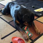 Bruce McAskill - Facebook