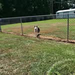 Bruce McCall - @bruce.mccall2 - Instagram