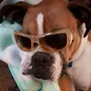 brucemcclendon - @brucemcclendon - TikTok