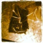 Bruce Mccoy - @daciente - Instagram