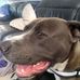 Robert Bruce McAulay - Facebook