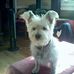 Bruce Mcdowell - Facebook