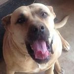 Bruce McDowell - @jack0ff07 - Instagram