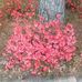 Bruce McElroy - Facebook