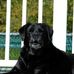 Bruce McGraw - Facebook