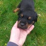 Bruce Mckay - @bruce_mckay - Instagram