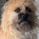 Bruce Lee Beau Bardiaux McLaughlin - @bruce____almighty - Instagram