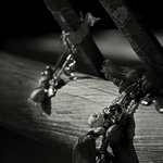 Bruce McLaughlin - @brucemclaughlin - Instagram
