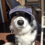 Bruce McLeod - @baadmcleod68 - Instagram