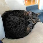 Bruce Mcleod - @ca.mcleod.ba - Instagram