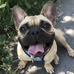 Bruce McLeod - @theycallmebrucemcleod - Instagram