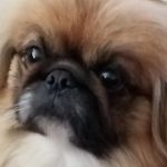 Bruce McManus - @bruce.mcmanus.9 - Instagram