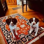 Bruce McQueen - @rogerrgrace - Instagram