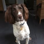 Andrew Gilkes - @brucemeister5 - Instagram