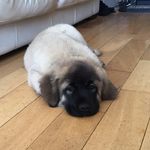 Bruce Meredith - @bruce_meredith - Instagram