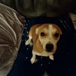 Bruce J Merkel - @brucemerkel42 - Instagram