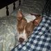 Bruce Michelson - Facebook