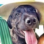 Bruce Mizerê - @brucemizere - Instagram