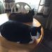 Bruce Moats - Facebook
