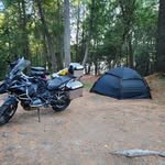 @bruce.moffat - Instagram
