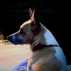 Bruce Moffitt - Facebook