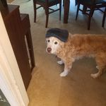 Bruce Moffitt - @moffittcs13 - Instagram