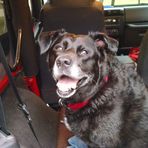Bruce Moffitt - Facebook