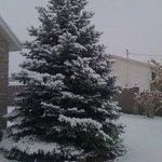 Bruce Moffitt - @blmoffi1 - Instagram
