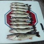 Bruce Mohler - @mohlerbruce - Instagram