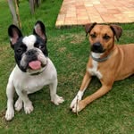 Molly & Bruce - @mollyebruce - Instagram