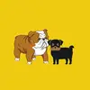 Bruce & Mollete - @bruce.mollete - TikTok