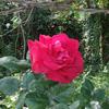 brua monette - @brua.monette - TikTok