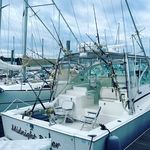 Bruce Moniz - @bruce_moniz_ - Instagram