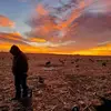 bruce montgomery - @brucemontgomery45 - TikTok