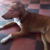 BRUCE MONTOYA - @bruce.montoya - TikTok