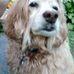 Bruce Moquin - Facebook