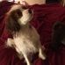 Bruce Moquin - Facebook