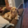 BruceMcQuinn - @bruce.mcquinn - TikTok