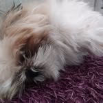 Bruce moreau - @brucemoreau4 - Instagram