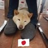 Bruce Morrice - @user435739239 - TikTok